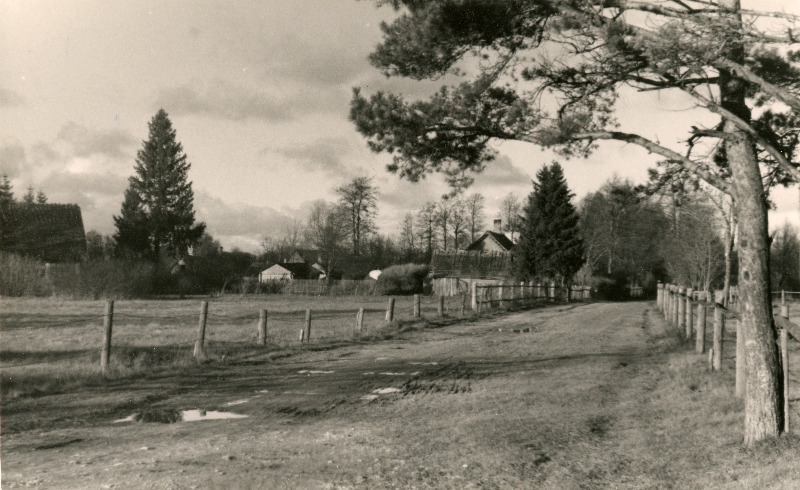 Kärdla alevi vaade.