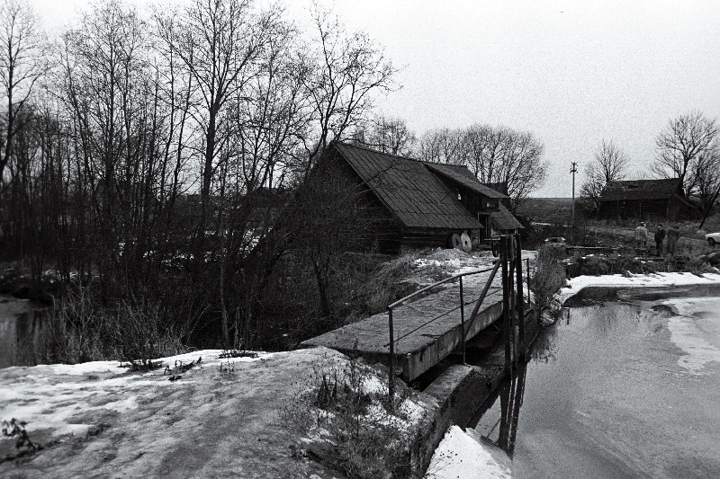 Sellest veskist saab head tangu.