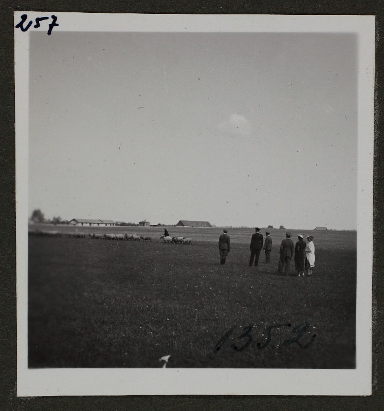 Grupp inimesi põllul; foto 1. Lennuväedivisjoni fotopositiivide kogust