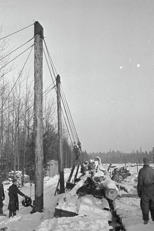 Raudteeplatvormi tühjendamine vintsi abil Pärnu rajooni Massiaru metsatööjaoskonnas.