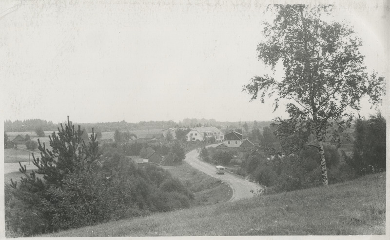 Vaade teele ja ümbruskonnale Ala kiriku juurest mäelt