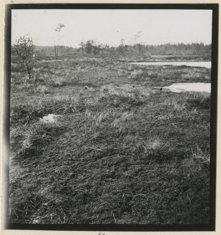 Ropazi soo Riiast idas