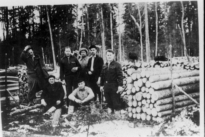 20. sept. 1944.a. Pika Hermanni torni sini-must-valge lipu heisanud ja pärast sakslaste poolt mahalastud Tehodor Tui (paremalt 1.) koos kolleegidega metsatöödel.