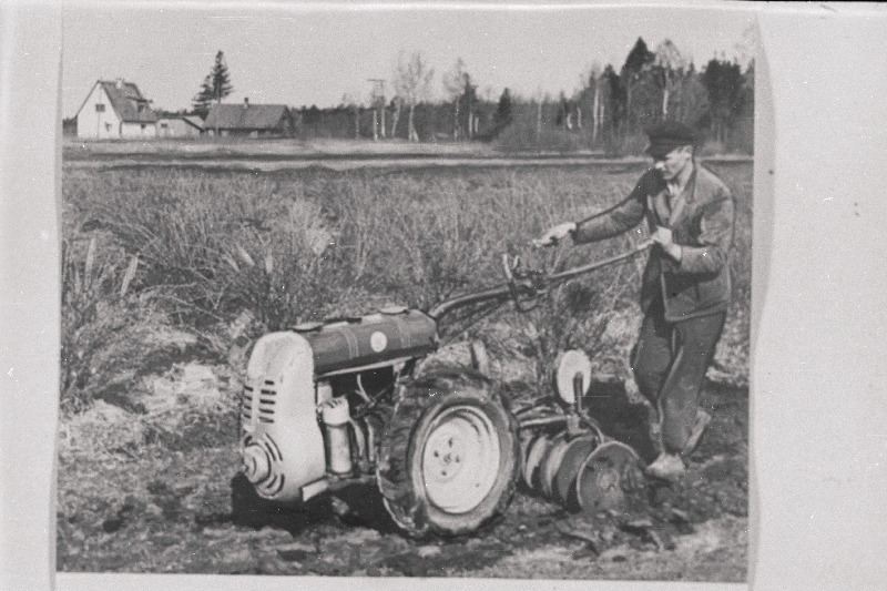Nurme sovhoosi mehhanisaator Hugo Kurepõld uue Tšehhoslovakkiast toodud aiatraktoriga marjapõõsaste reavahesid kultiveerimas.