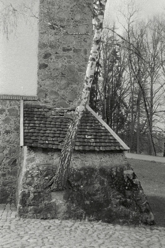 Vana viinaköögi müür kasega.