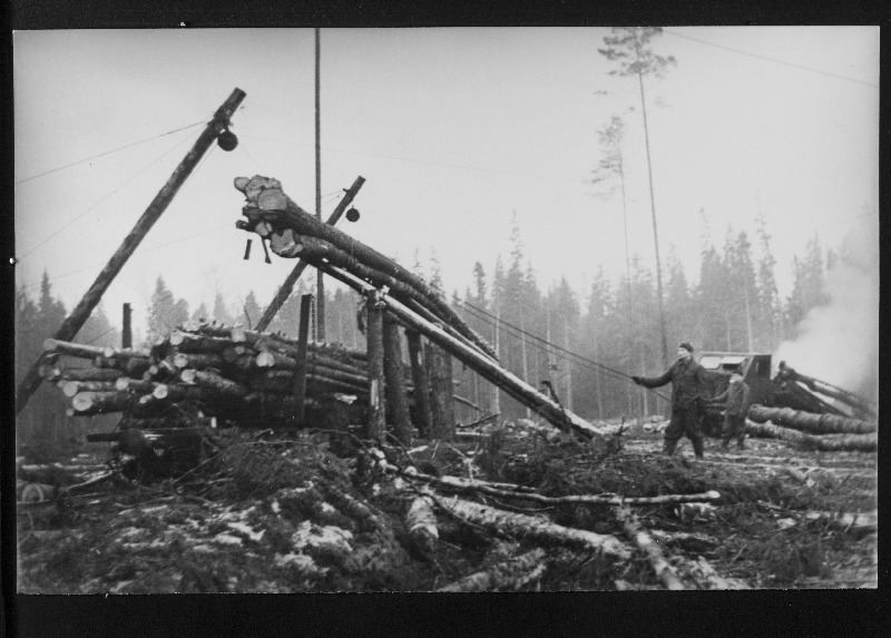 Rakvere metsatööstuskeskuse Simuna metsapunkti töölised laadivad estakaadil metsamaterjali.