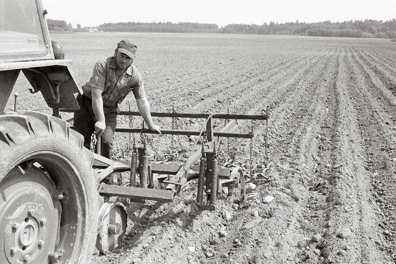 Paide rajooni "Estonia" kolhoosi traktorist Tiit Mäekivi põllul.