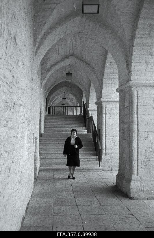 Tallinna Raekoja kaaristu.