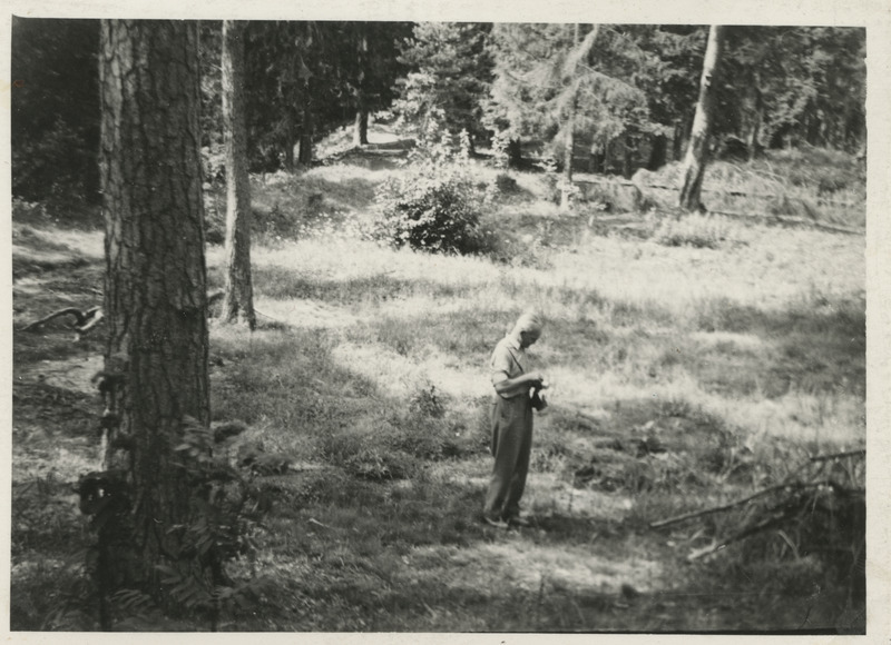 August Traat Padise linnamäel