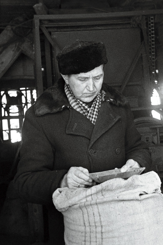 Rakvere rajooni Vinni näidissovhoosi peaagronoom Elmar Arula.