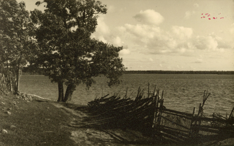 Järumetsa e. Karujärv.