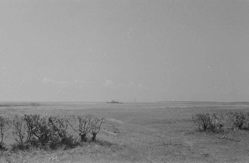 Sõudmise treening Pärnu jõel.