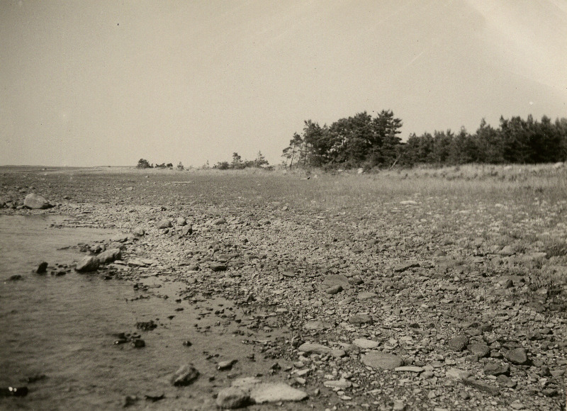 Veise saar Kuusnõmme lahes.