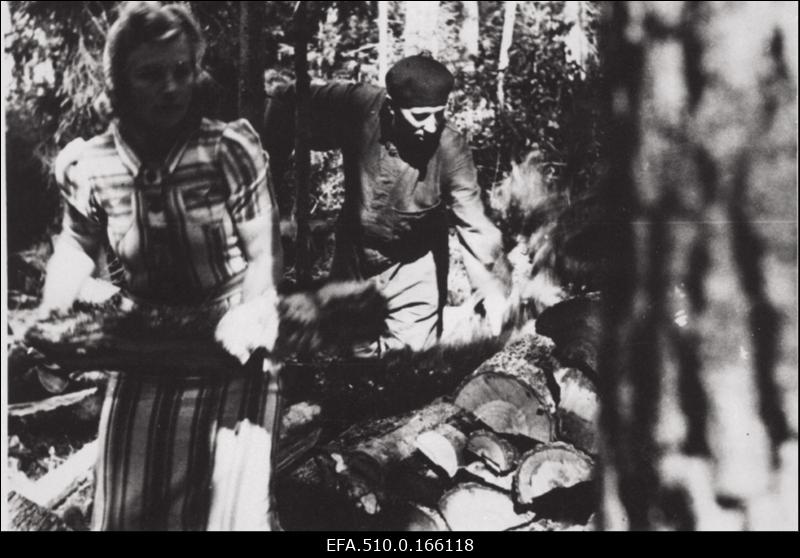 Tallinna Ringhäälingu töötajad metsatööl Laiksaare vallas. Puuriita laovad Linda ja Aleksander Sillart.