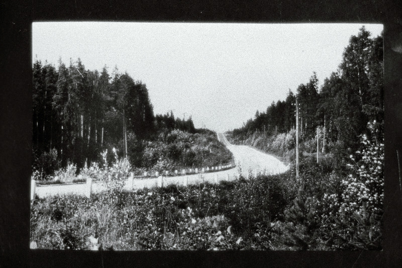 Kärde mäele viiv tee.