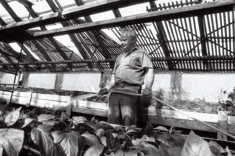 [Musta] tee aiandis, juhataja Jaan Jõekäär(s)?, rooside maja ja Anne Vahtra.