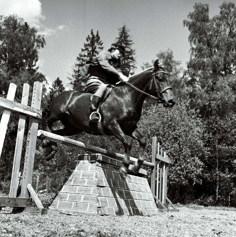 Vinni näidissovhoostehnikumi spordimetoodik ratsaspordi alal Reet Proover hobusel takistust ületamas.