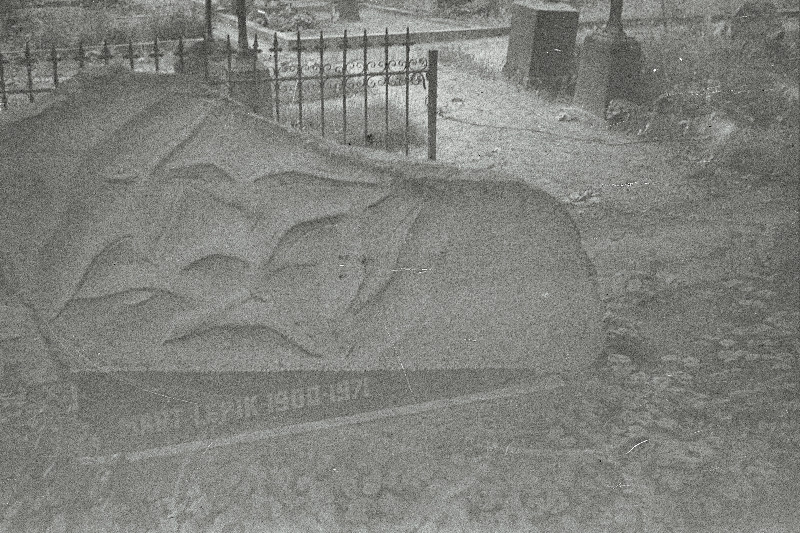 Arhivaari ja kirjandusteadlase Mart Lepiku hauakivi Raadi kalmistul.