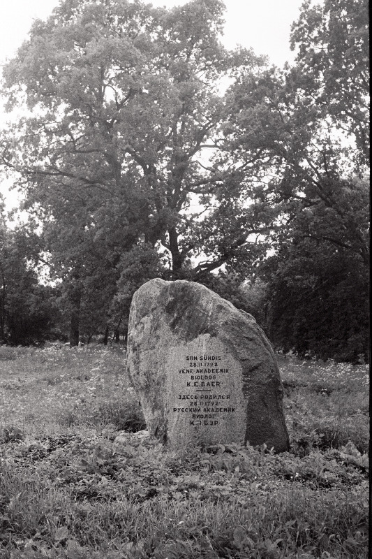 Mälestuskivi baltisaksa loodus- ja arstiteadlase Karl Ernst von Baeri sünnikohas Piibe pargis.