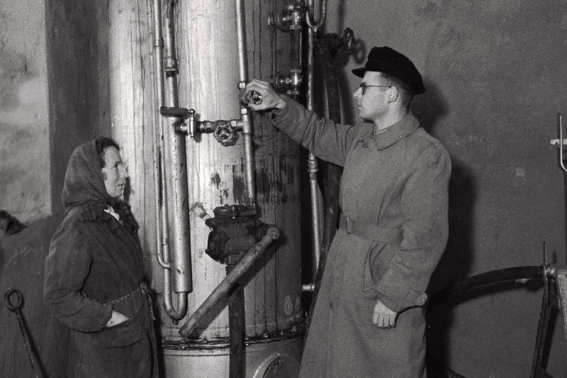 Rapla rajooni Bolševiku kolhoosi vastvalminud veiselaut.