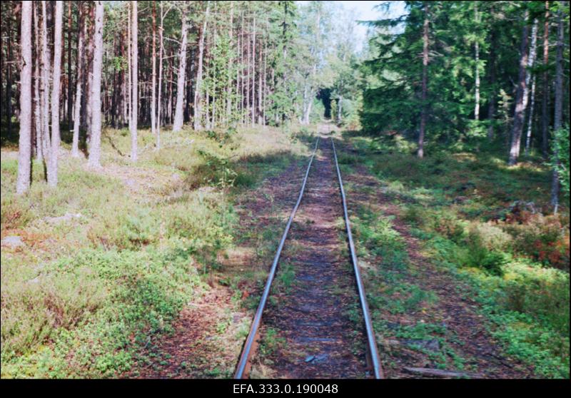 Kitsarööpmeline raudtee Naissaarel.