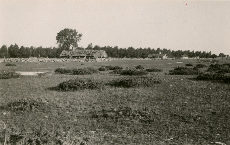 Vaade Vallipää külale üle kadakase karjamaa.