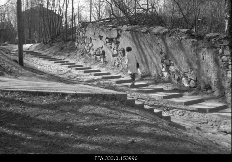 Vaade trepile Kitsal tänaval, mis viib Tartu Ülikooli Raamatukogu juurde.