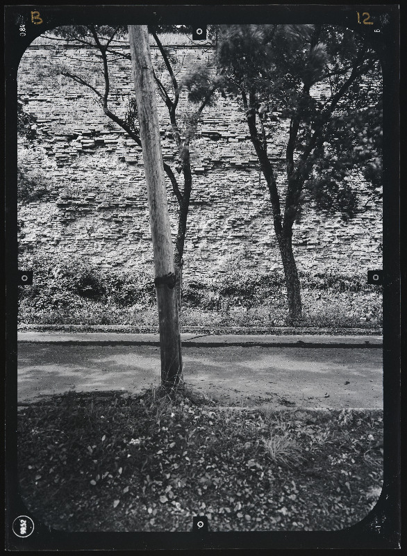 Narva linn. Bastionid. Narva linnakindlustused. Stereofotogramm-meetriline mõõdistamine.