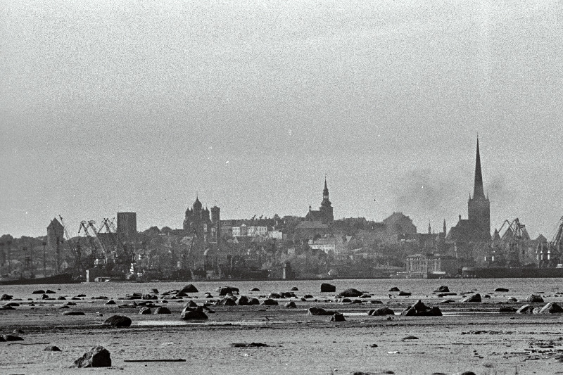 Tallinna panoraam (võetud Piritalt) ja valge reisijate laev saabub Tallinna.