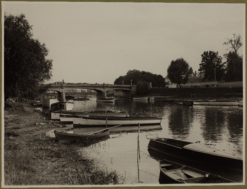 Vabadussild Ujula teelt vaadates.
