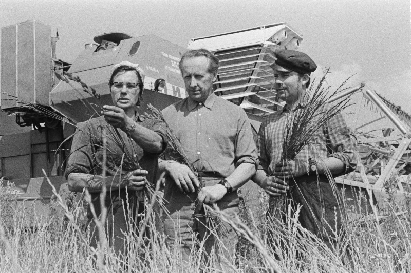 Viljandi rajooni Tarvastu kolhoosi kombainer, sotsialistliku töö kangelane Elina Otsman, esimees Arnold Almers ja kombainer Vambola Leinus heinaseemne koristamise üle mõtteid vahetamas.