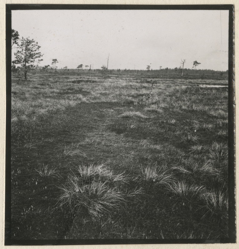 Sood ja rabad Ahtmes