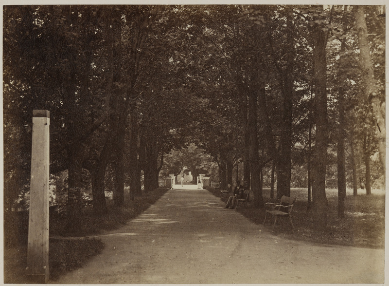 Inglisillale viiv allee Toomemäel