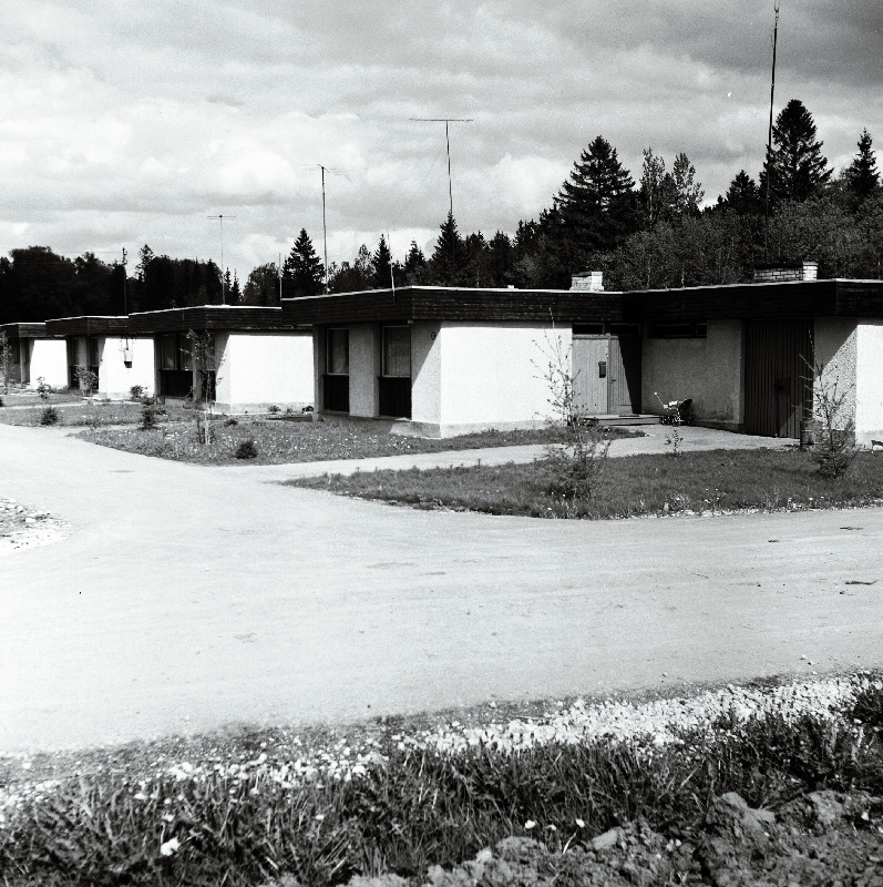 Vaade hoonetele Vinni näidissovhoostehnikumis.