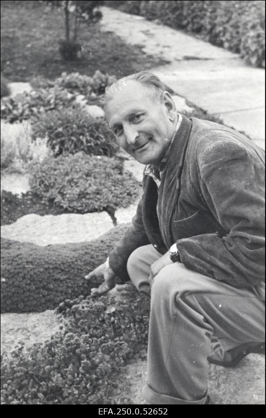 Palginõmm, Jaan - Kohtla-Järve vana kaevur, ametiühingu aktivist, Suure Isamaasõja veteran.