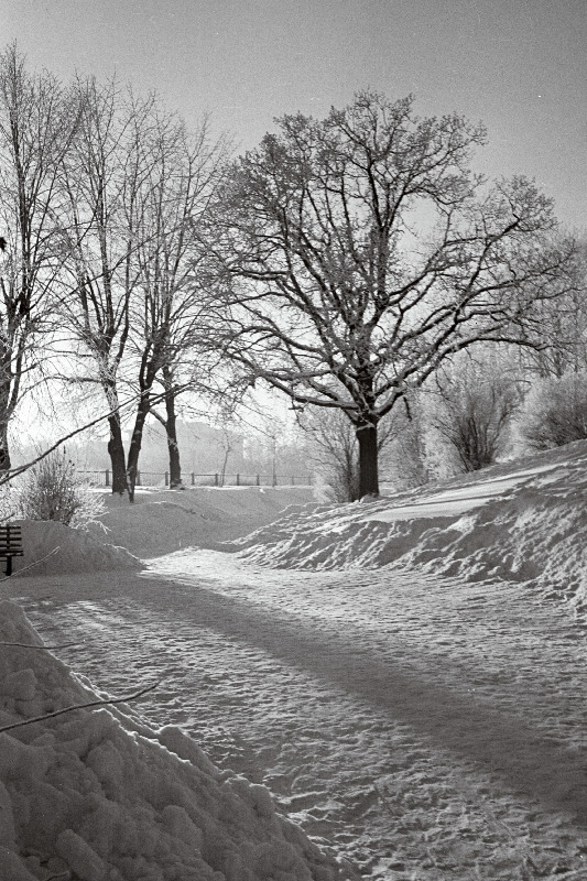 Talvine härmas Tallinn.