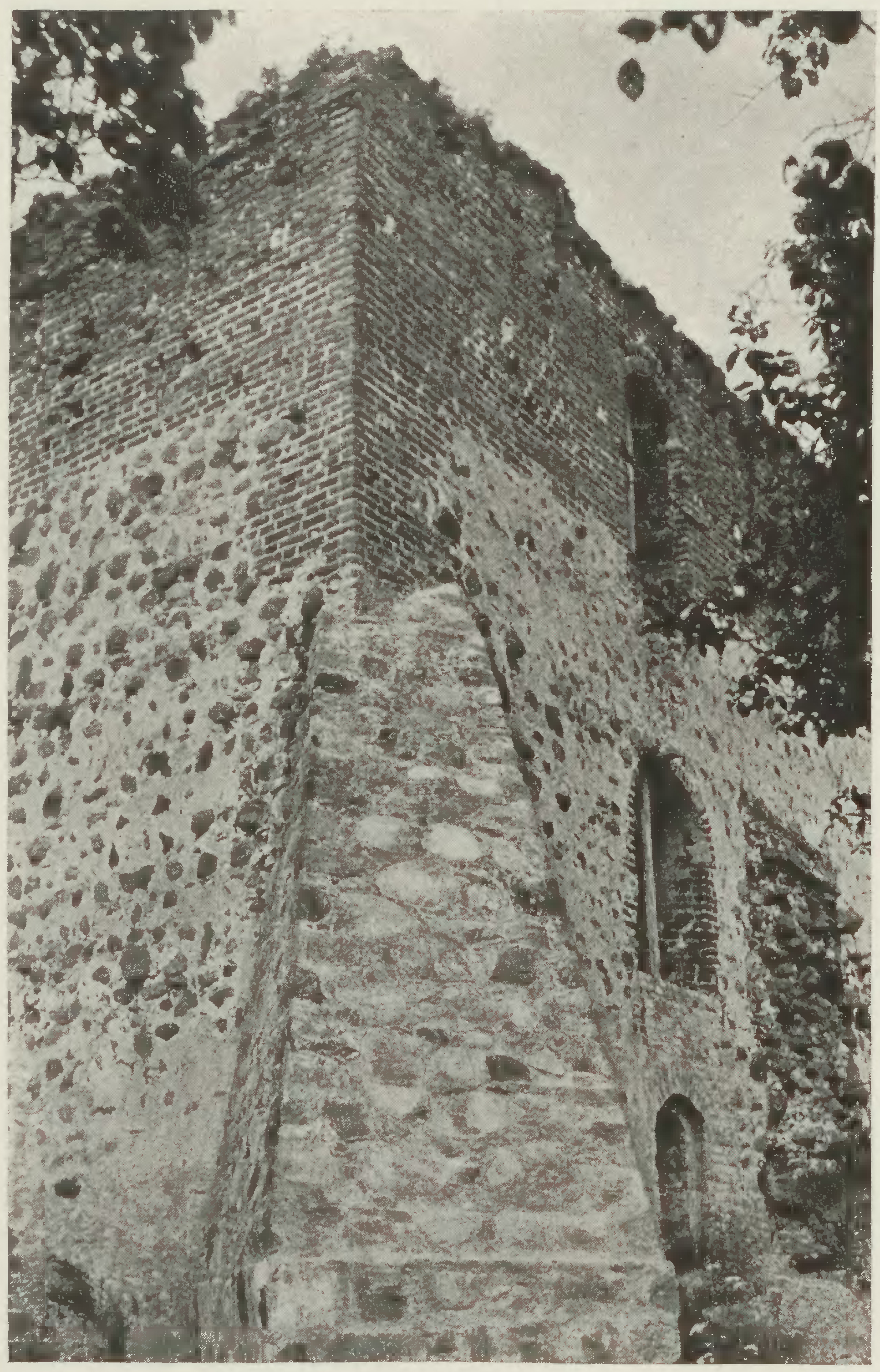 Trocki zamak. Троцкі замак (1930) (6) - lang