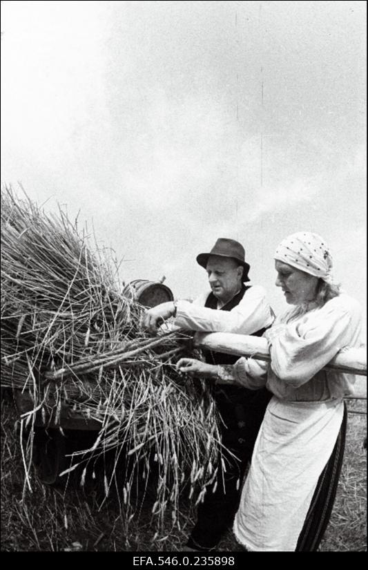 Lõikuspüha. Mees ja naine põllutöömasina juures.