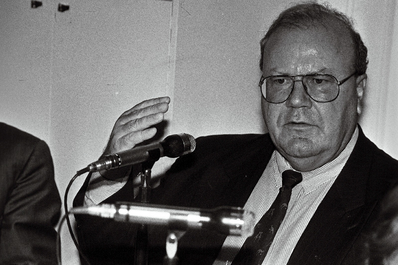 Martin Bangemann, Naumani fondi esindaja.