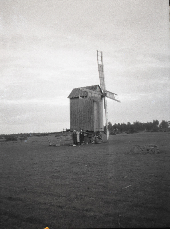 Lõnka talu tuulik Vahtrepa külas.