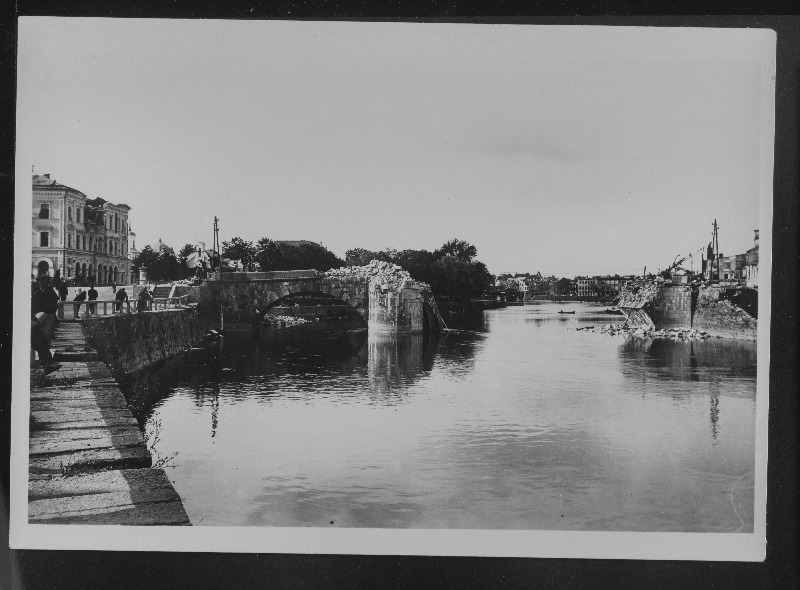 Kivisilla rusud.