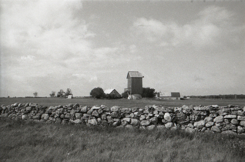 Kiviaed ja tuulik Vilsandil.