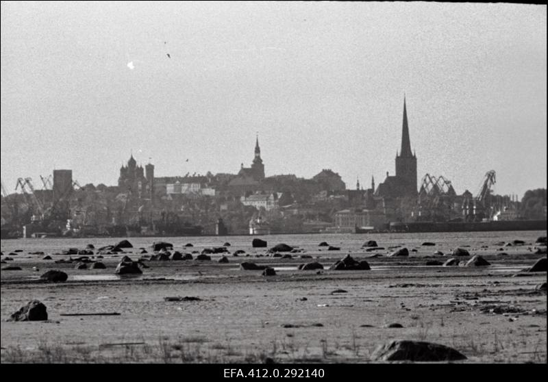 Tallinna panoraam (võetud Piritalt) ja valge reisijate laev saabub Tallinna.