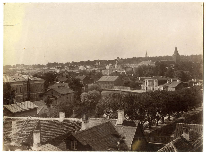 Vaade Tartu kesklinnale Toomemäelt