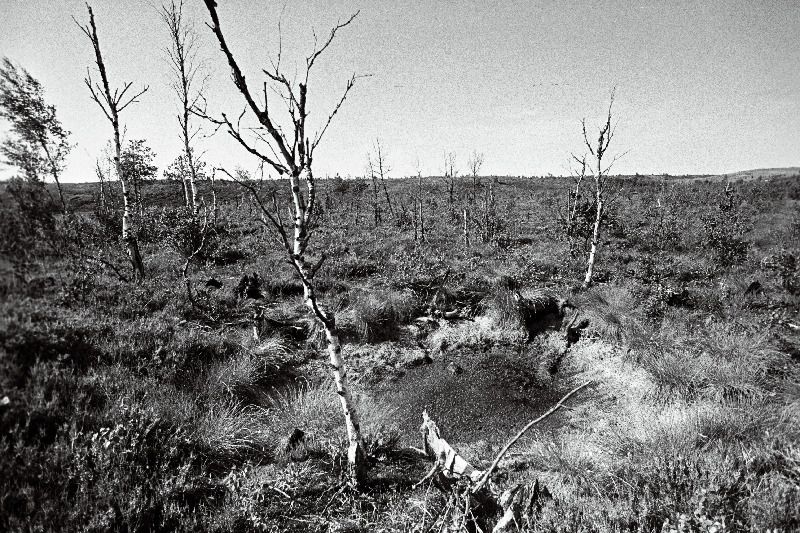 Aegviidu polügonil.