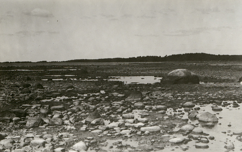 Kuusnõmme mererand.