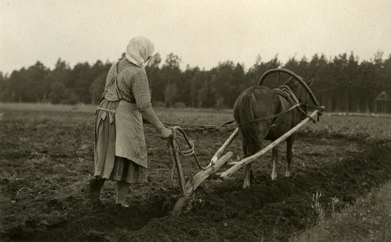Muhu naine Marie Kask seaninaga  kündmas Kuke talus. Hellamaa küla.