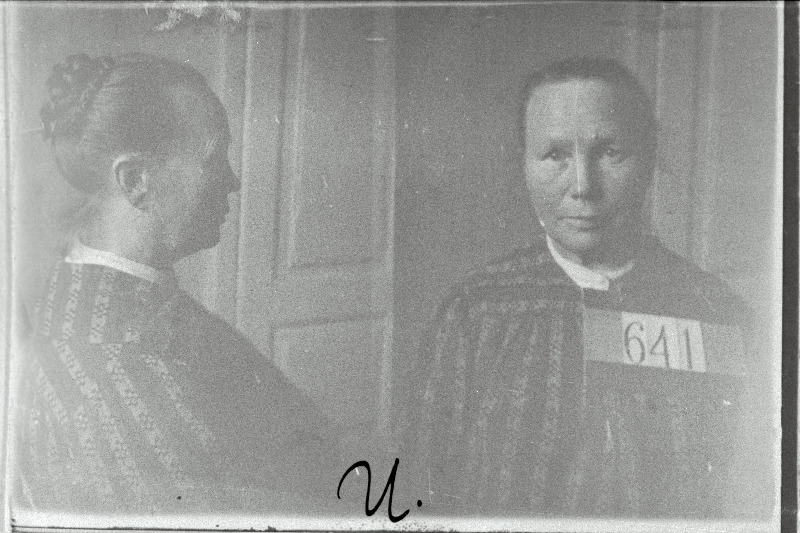 Riigivastaste lendlehtede levitamises süüdistatav Marie Ustav vahistatuna.