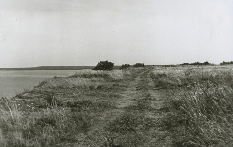 Türisalu panganeemik.