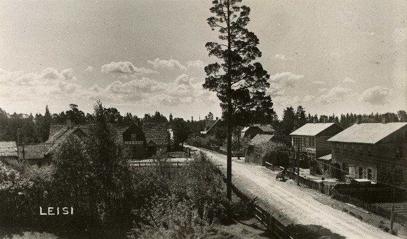 Leisi alevik.
